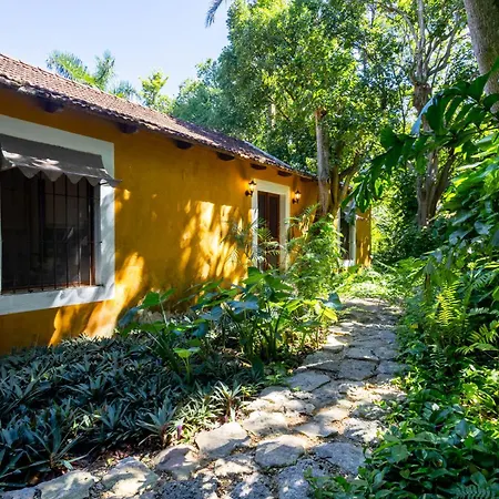 Hacienda San Antonio Millet-2