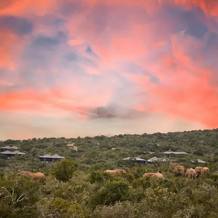 Kwandwe Private Game Reserve - Ecca Lodge-2