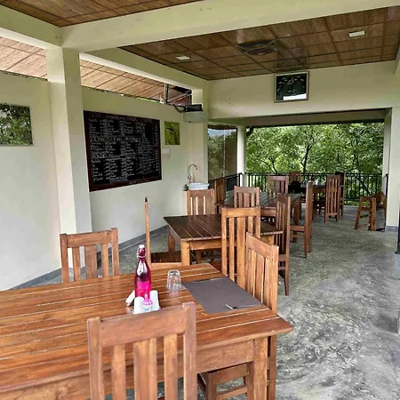 Jungle Paradise-3