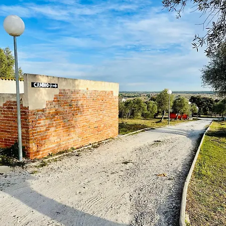El Bosque de Ribera-2