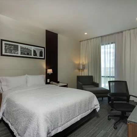 Hampton Inn By Hilton San Luis Potosi-2
