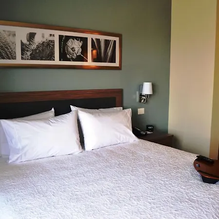 Hampton Inn & Suites By Hilton Salamanca Bajio-2