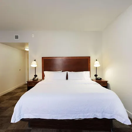 Hampton Inn & Suites Baton Rouge - I-10 East-3