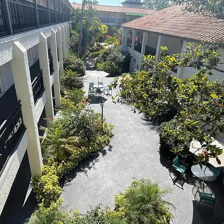 Red Roof Inn Plus & Suites Tampa - Busch Gardens-2