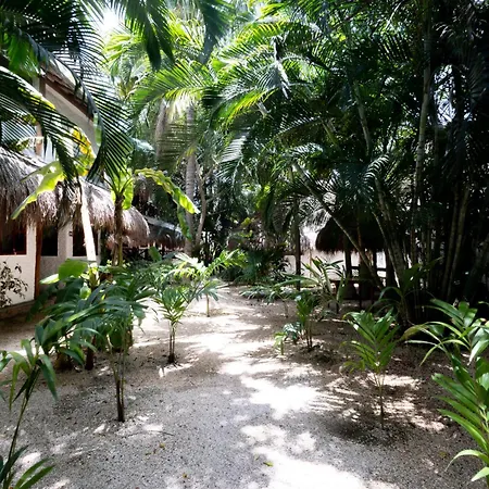 Hotel Casa Barbara Holbox-2