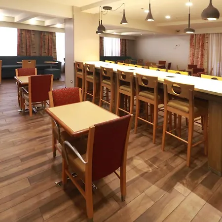 Hampton By Hilton Chihuahua-2