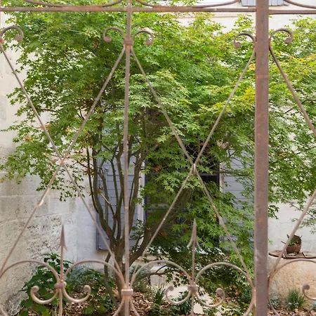 Maison Salix-3