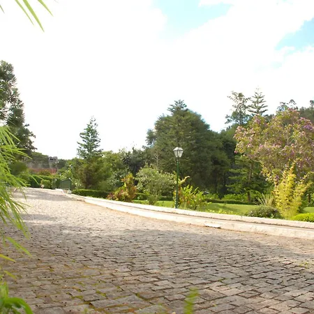 Hotel Bucsky-2