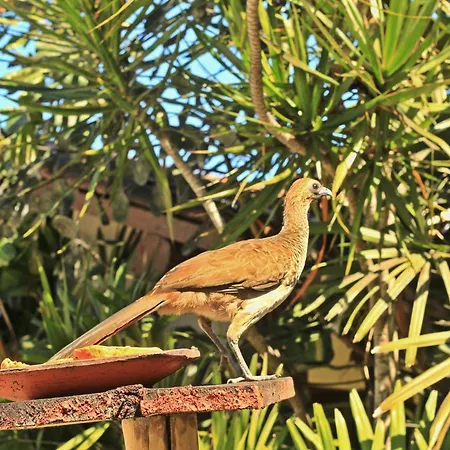 Pousada Fragata - Arraial D Ajuda - Melhor Localização e Atendimento-3