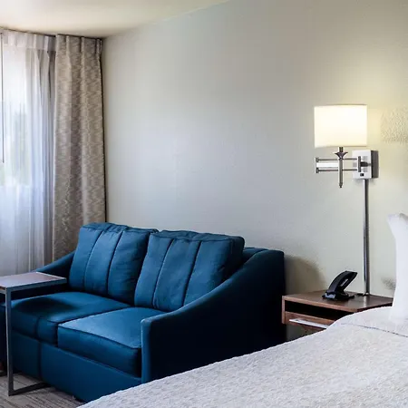 Hampton Inn By Hilton Irvine East - Lake Forest-2
