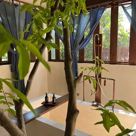 Japoneza Retreat Mérida - Adults Only by Cercana-2
