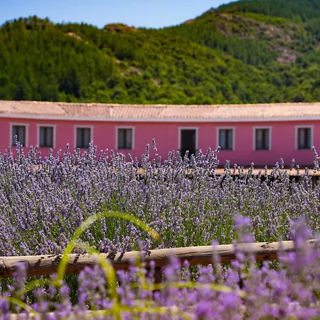 HOTEL ORLANDO Sardegna-3