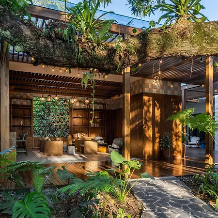 Botanika Osa Peninsula, Curio Collection By Hilton-2