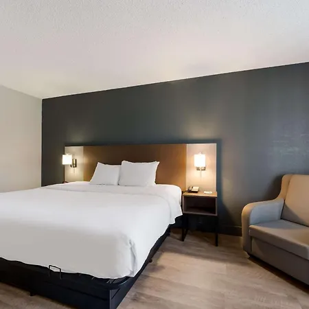 Quality Inn University Area-3