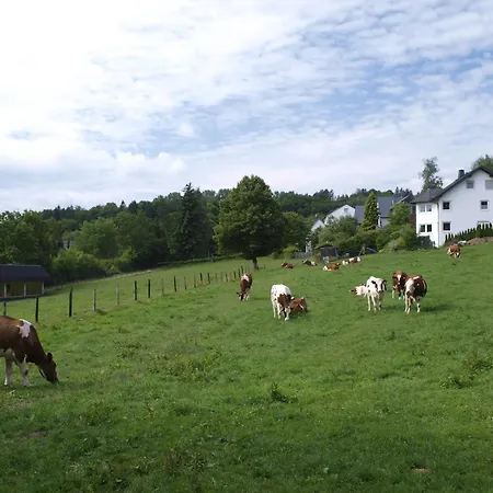 Landhotel Henkenhof Willingen-3