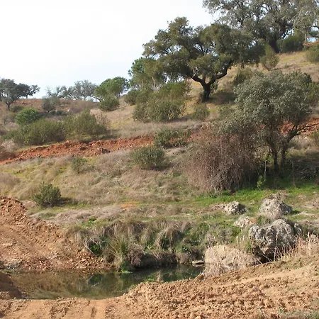 Herdade Do Rio Torto-2
