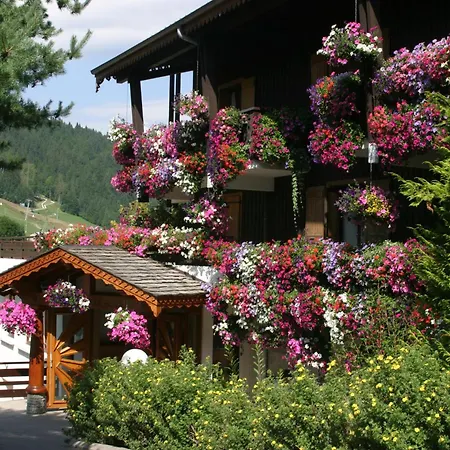 Hotel Le Petit Dru-2