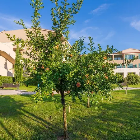 Admiral Grand Hotel-3