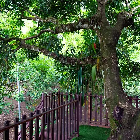 Hotel Heliconias Nature Inn & Hot Springs-2