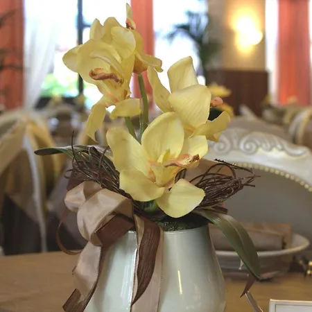 Hotel Donatella Pinarella-2