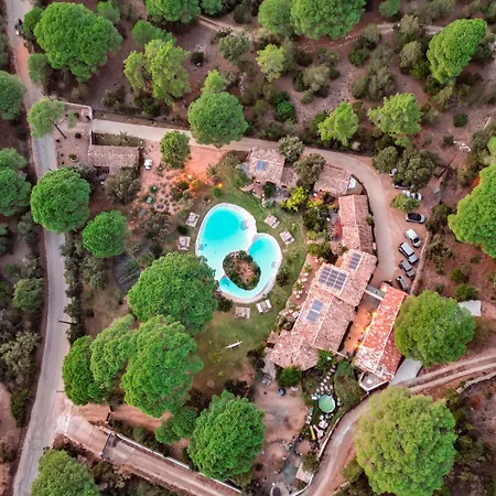 Hôtel Ambassador Palombaggia-3
