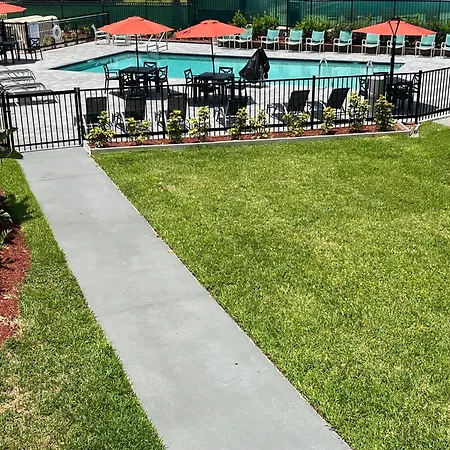 Clarion Inn Orlando International Drive - Icon Park-3