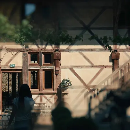 Le Champ des Oiseaux&Spa-3