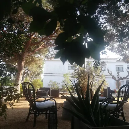 Hostal Los Pinares-3