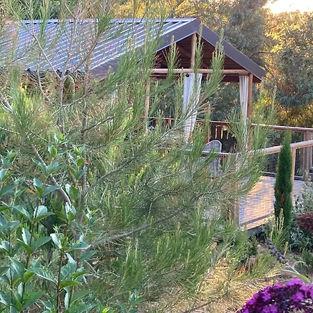 Cabanes Trésors de Campagne,spas privatifs-2