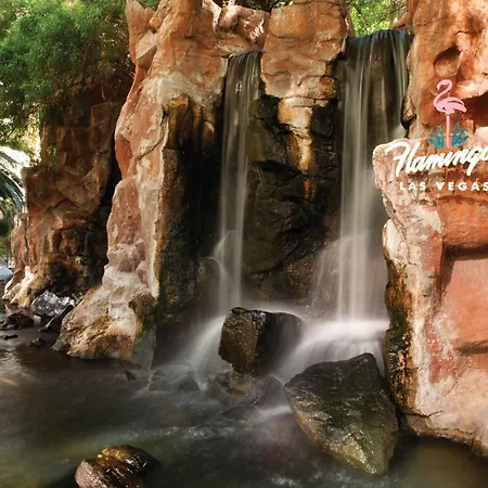 Flamingo Las Vegas Hotel&Casino-2