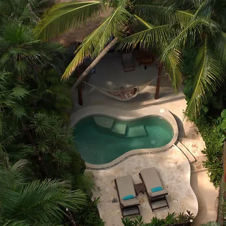 Viceroy Riviera Maya, A Luxury Villa Resort - Adults Only-3