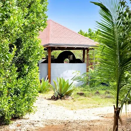 Red Palm Village-2