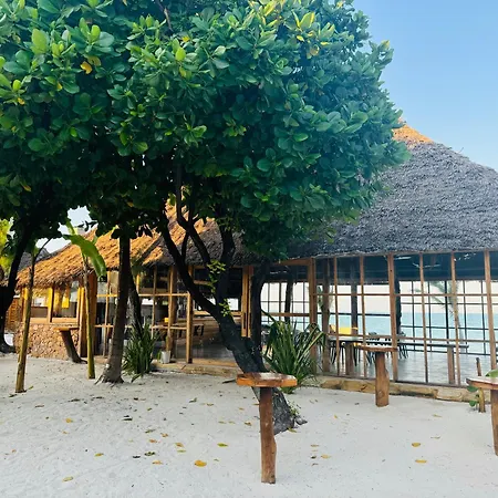 Tiki Beach Club & Resort (Adults Only)-2