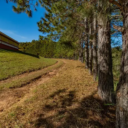 Fazenda D'anape-3