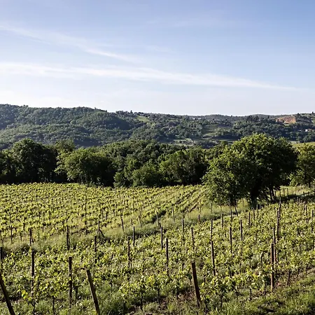 Pieve Aldina - Relais & Chateaux-2