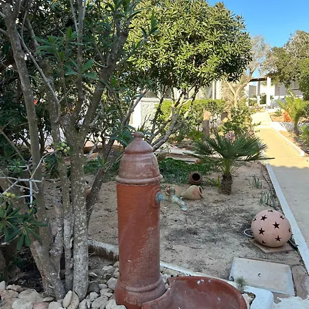 Oasi Di Casablanca-3