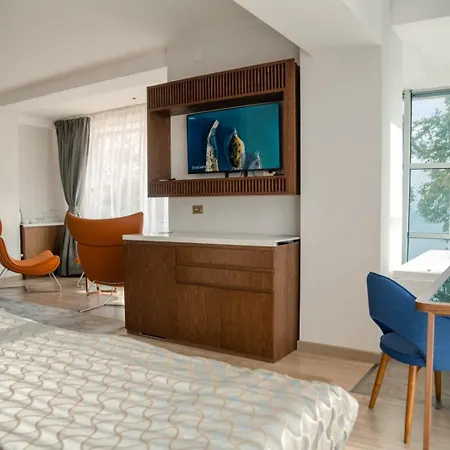 Hotel Drim & Spa-2