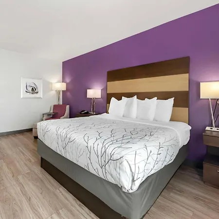 Best Western Plus Buda Austin Inn & Suites-3