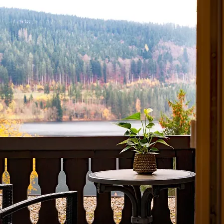 Treschers Schwarzwald Hotel-3
