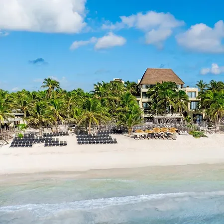 Secrets Tulum Resort & Beach Club (Adults Only)-3