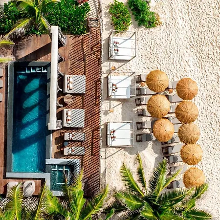 Secrets Tulum Resort & Beach Club (Adults Only)-2