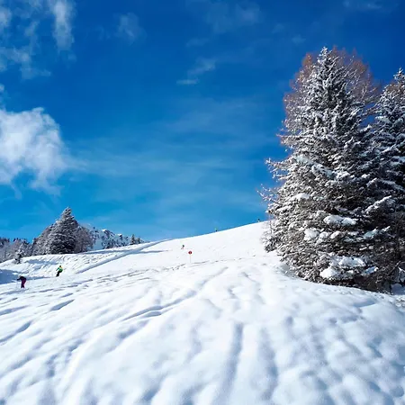 Landal Chalet Matin-2