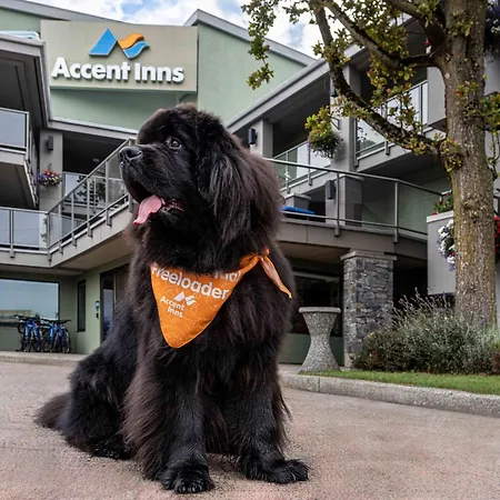 Accent Inns Kamloops-3