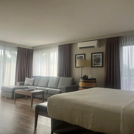 Hôtel Rive Gauche-2