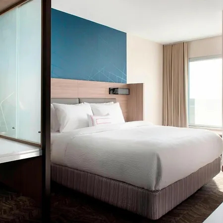Springhill Suites By Marriott Tampa Suncoast Parkway-2