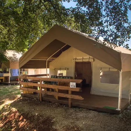 Sunflower Camping-3