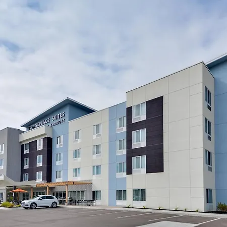 Towneplace Suites By Marriott Detroit Allen Park-3