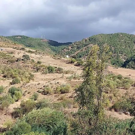 El bufon de la corte-3