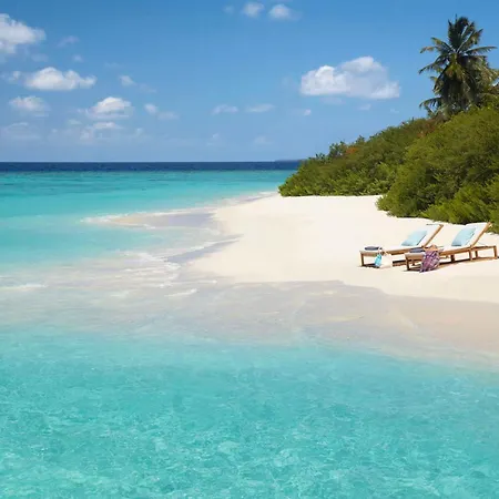 Dusit Thani Maldives - 50 Percent Off On Transfers For Stays Of 5 Nights Stay Until 20 December 2026-3