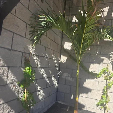 Playas Hotel Suites-2
